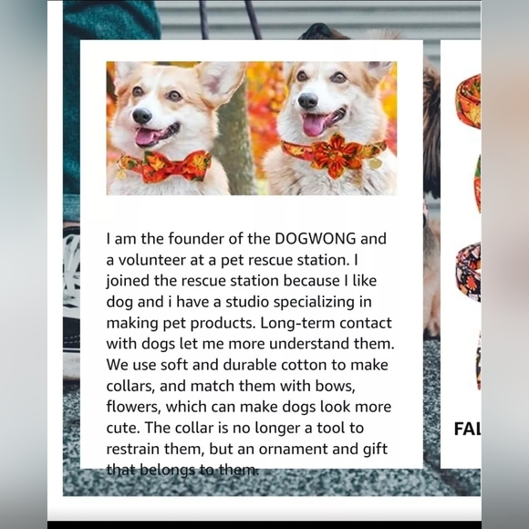 Dogwong Fall Collar With Flower XS/Small - Picture 8 of 8